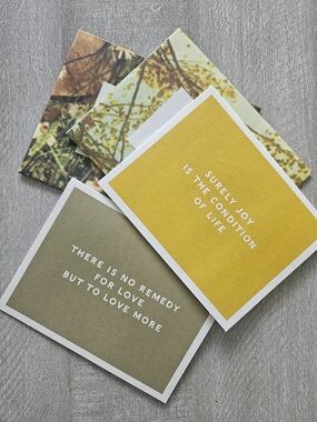 Stationary BUNDLE - 12 Cards & Envelopes